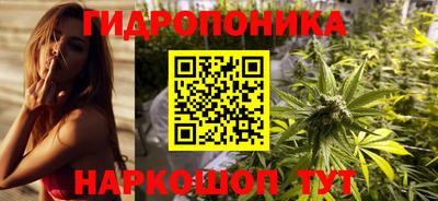 крисы Ирбит