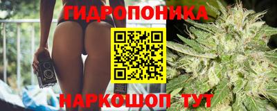 прущие крисы Ипатово