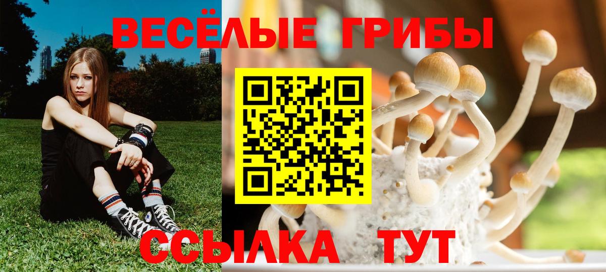 Псилоцибиновые грибы GOLDEN TEACHER Кыштым